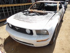 2007 FORD MUSTANG GT WHITE 4.6 AT F19070